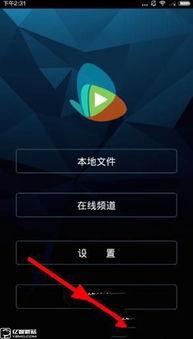 福利视频在线条播放,轻松享受精彩内容